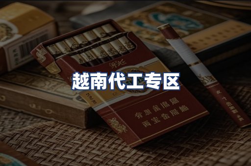越南代工专区